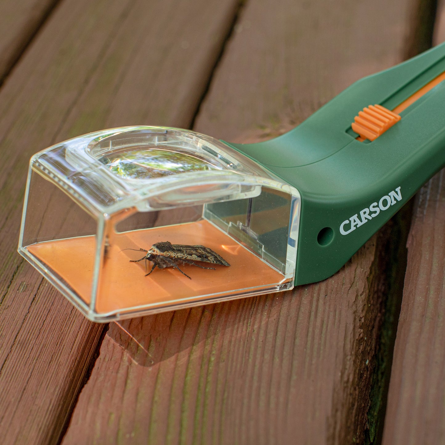 Carson BugView™ Quick-Release Insect Catcher / Bug Catching Tool and Magnifier HU-10
