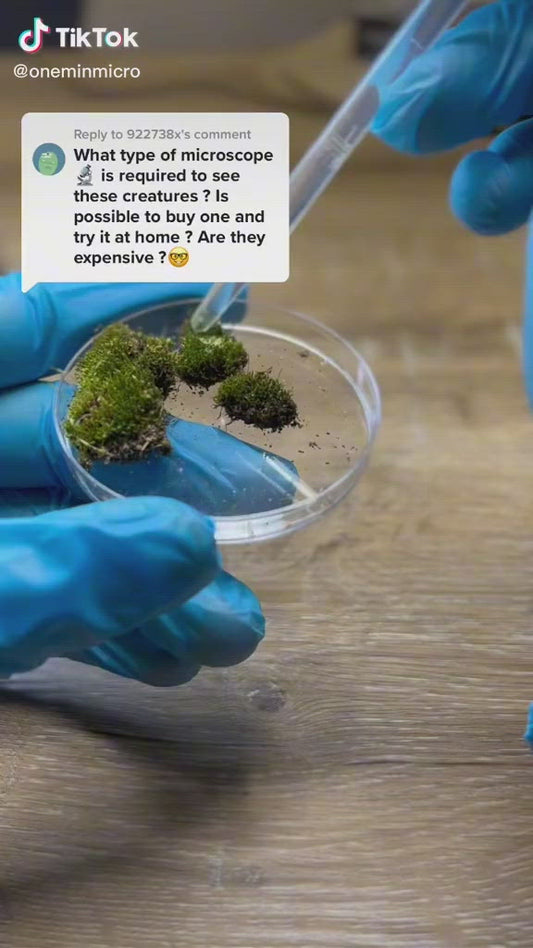 Carson MicroFlip™ 100x-250x LED, UV Lighted Pocket Microscope, Flip Down Slide Base, Smartphone Digiscoping Clip MP-250