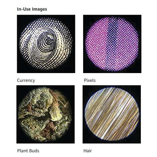 Carson MicroMini™ 20x LED Lighted Pocket Microscope, Built-In UV, LED Flashlight, Green MM-280G