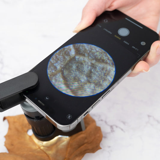 MicroMini™ 20x Pocket Microscope with UV and LED Flashlight, Green – Carson  Optical