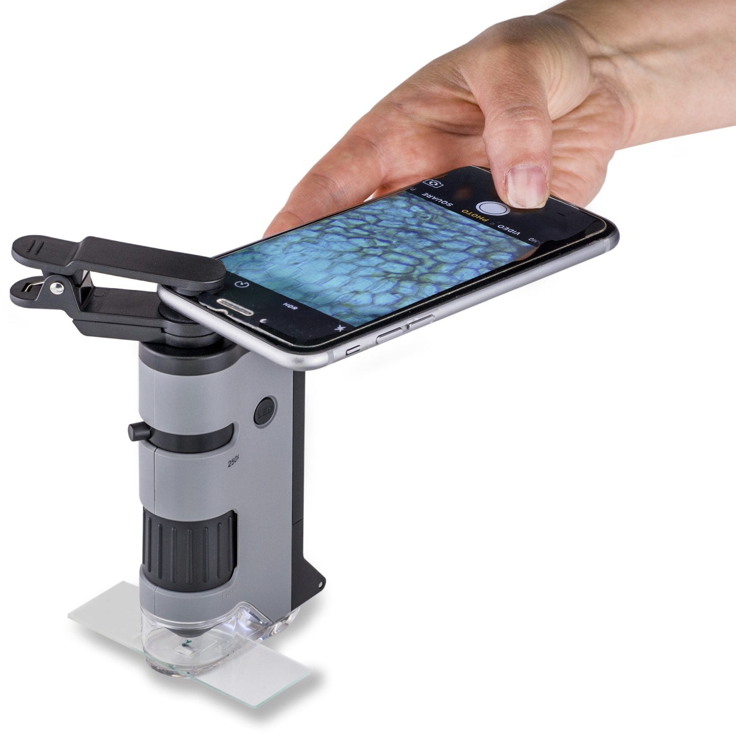 Carson MicroFlip™ 100x-250x LED, UV Lighted Pocket Microscope, Flip Down Slide Base, Smartphone Digiscoping Clip MP-250